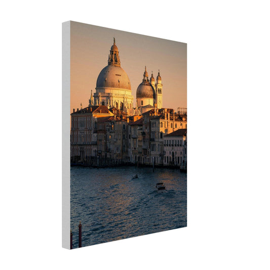 Golden Hour in Venice - Still&Wild